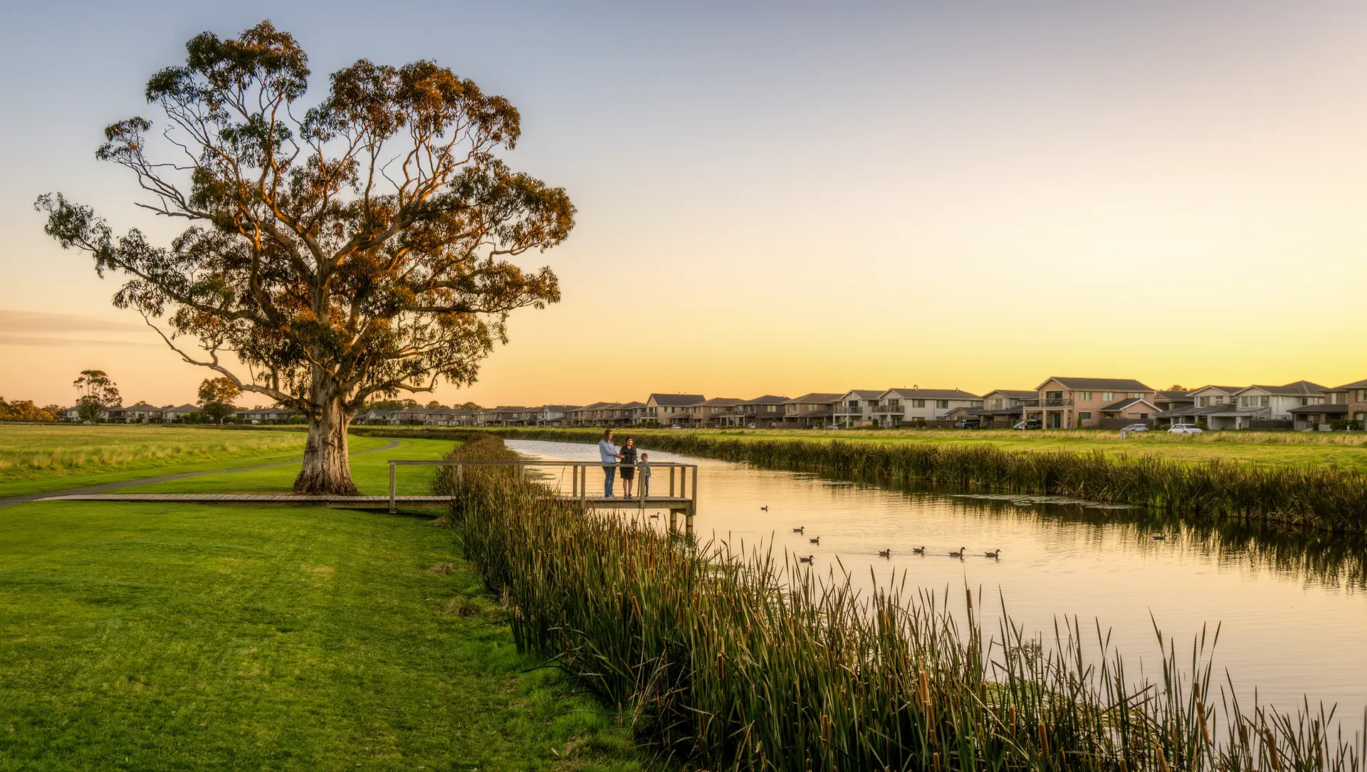 Creekside parkland and open space
